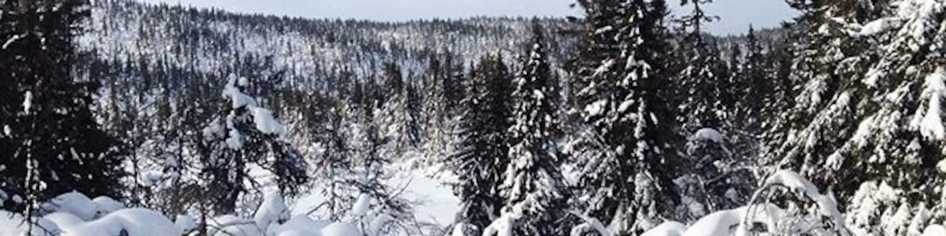 Ringebu, Innlandet, Norway