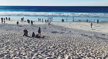 Winter beach day in Carmel. #lifeatexpedia