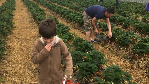 Foto de Sarah Blackwell