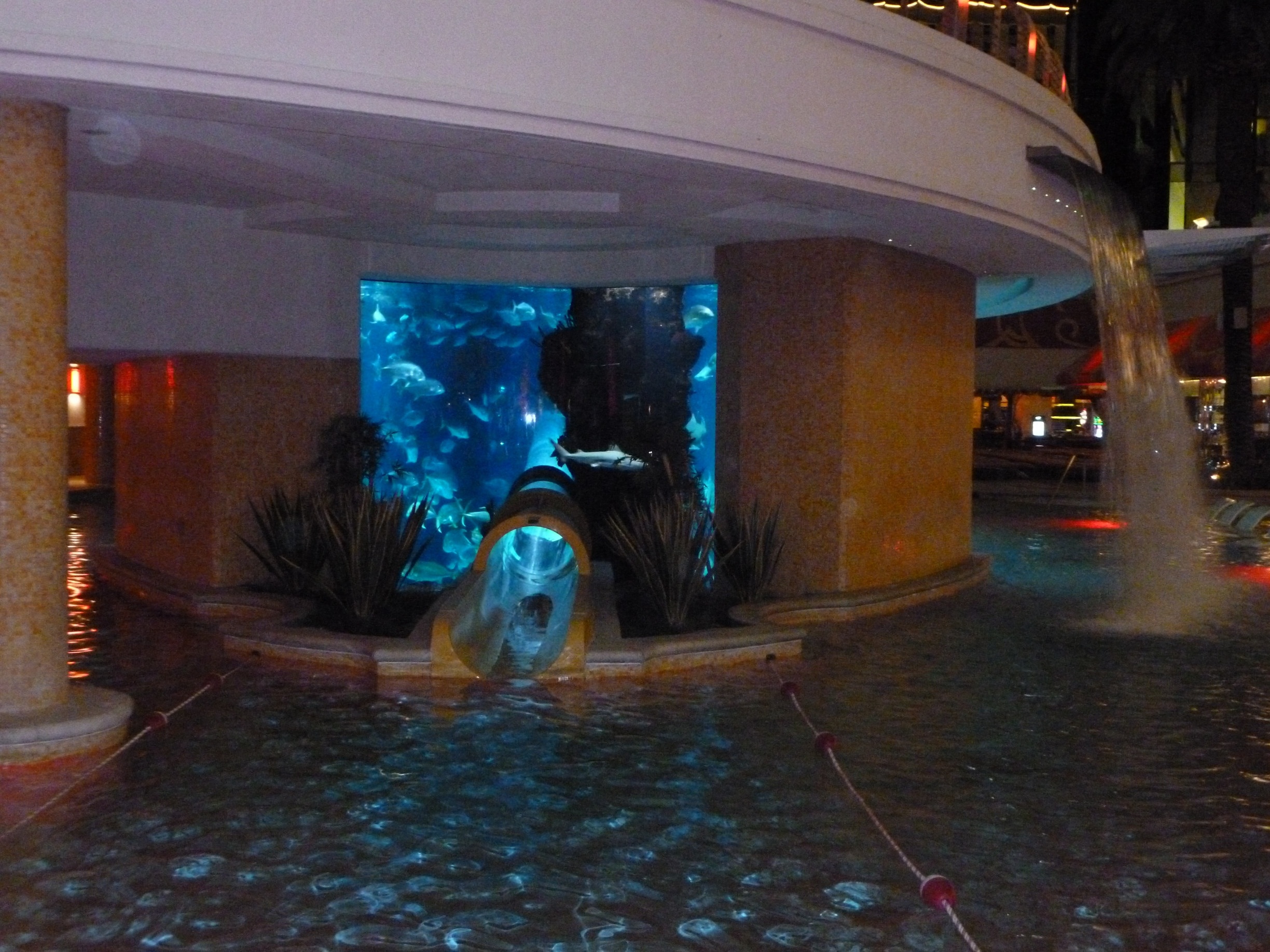 Swimmers drop out into the pool after sliding through the fish tank.  Very nice pool but a bit small for the number of visitor that can be seated but most are there for the sun and people watching anyway.