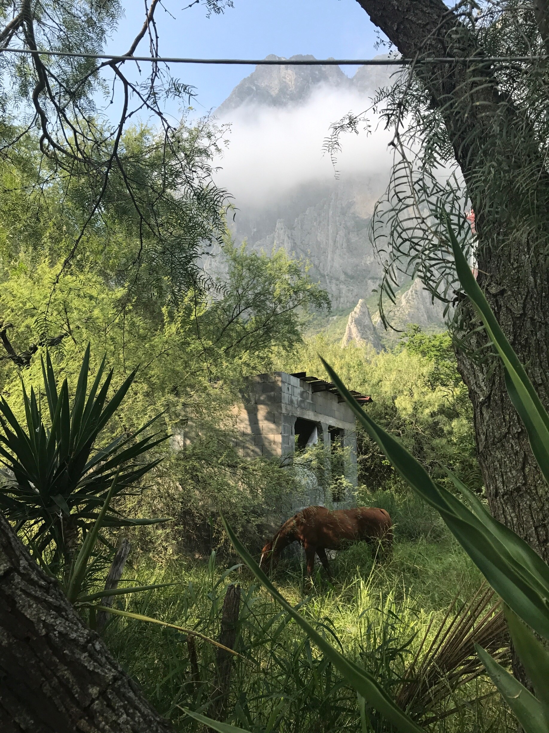 Monterrey, MX Vacation Rentals: house rentals & more | Vrbo