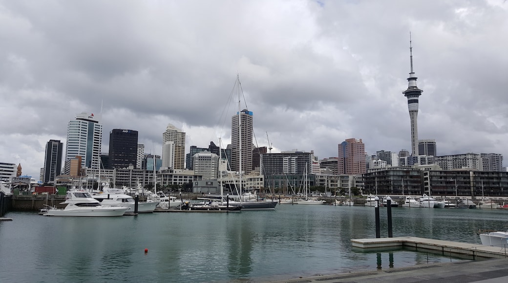 Wynyard Quarter, Auckland, Auckland Regionen, Nya Zeeland