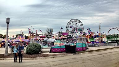 One of the largest county fairs in the country, and the largest in the state of Iowa.