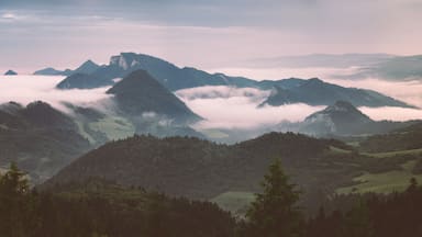 Pieniny national park at summer during morning inversion. This photo was taken from peak called Wysoki wirch (aka High peak) which is at Slovak / Poland borders. At distance you can see majestic Tri Koruny (aka Three crowns).

#nature