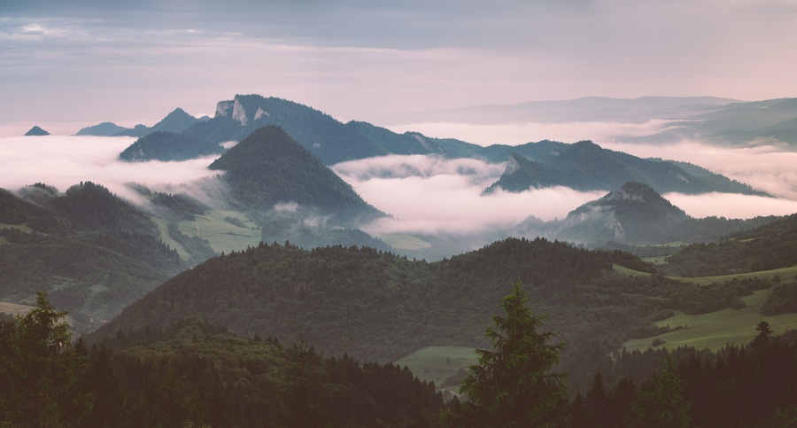 Pieniny national park at summer during morning inversion. This photo was taken from peak called Wysoki wirch (aka High peak) which is at Slovak / Poland borders. At distance you can see majestic Tri Koruny (aka Three crowns).
#nature