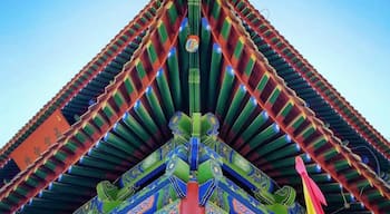 The art of symmetric of ancient China architects.
