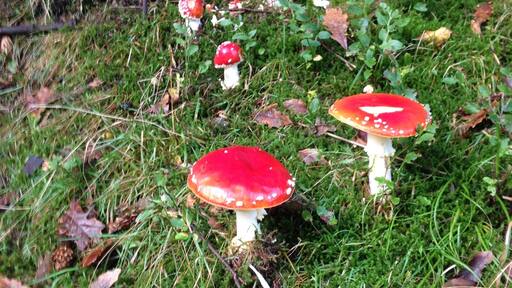 Foto von Andy George