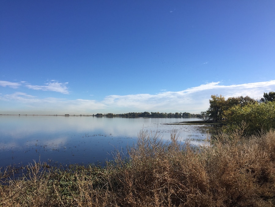 Barr Lake is a great location for birders