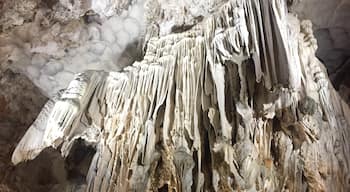 The ‘Paradise Cave’ with its imposing limestone organ-shaped formations! It was worth the 1000 steps climbing!