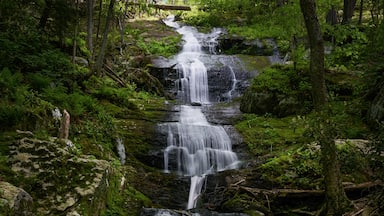 Buttermilk Falls located off the beaten path in the Delaware Water Gap