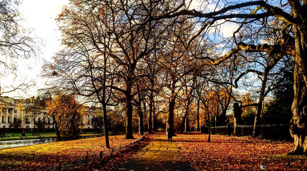 Regent's Park, London, Greater London, England, United Kingdom