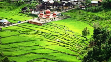 Rice terraces near Bukit Tinggi, West Sumatra #AboveItAll