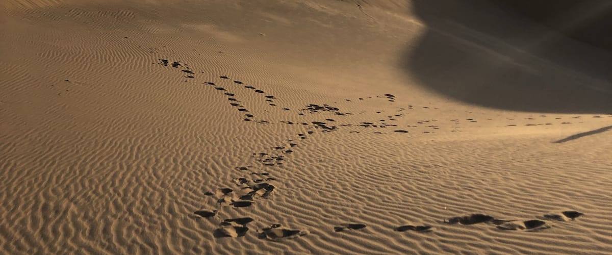 Amazing San dunes