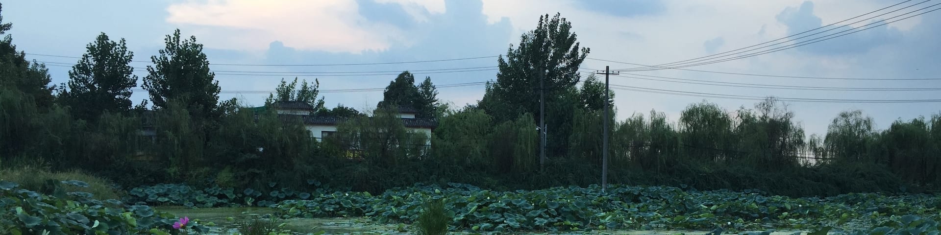 lotus lake good restaurant