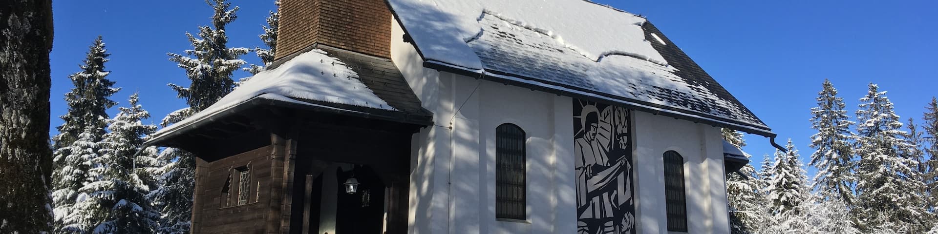 Take a mental break from a short tour through the swampy area or the ski slopes nearby. Either way, very rewarding. 
https://naturvielfalt.at/schutzgebiet/fohramoos/