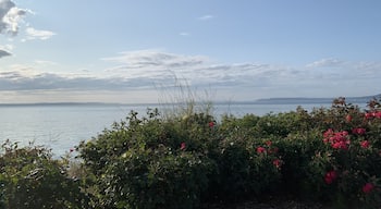 Street parking, no actual beach access, plenty of benches and places to stop and admire the view. Near the Edmonds ferry.