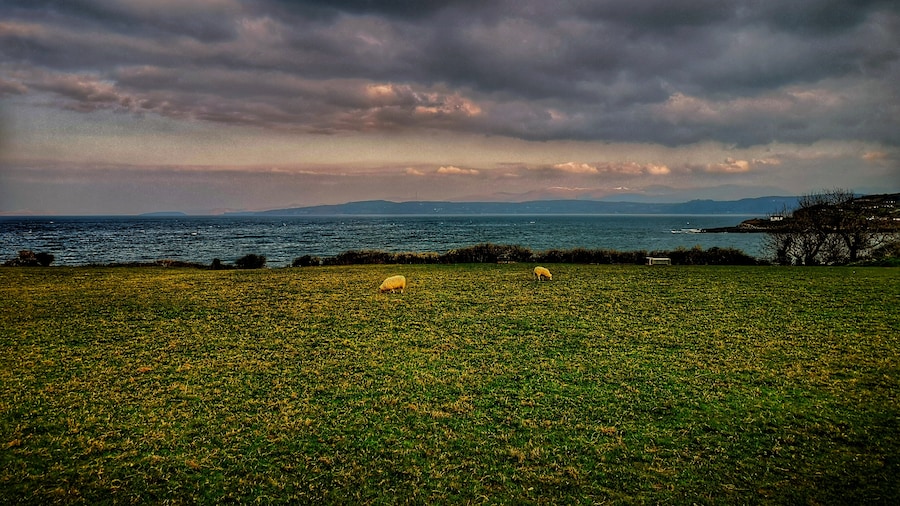 Traeth Bychan