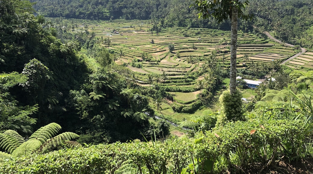 Menanga, Rendang, Bali, Indonesia