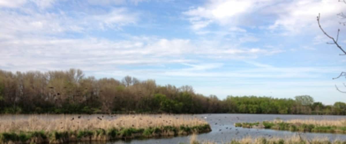 Small lake and wetland ecosystem. Popular fishing spot.