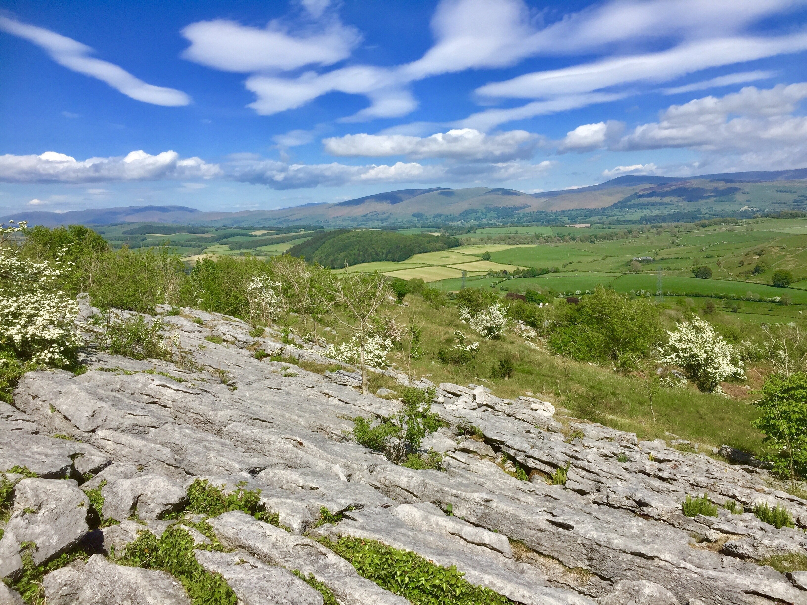 Billede taget af Kathy Appleby