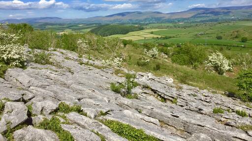 Billede taget af Kathy Appleby