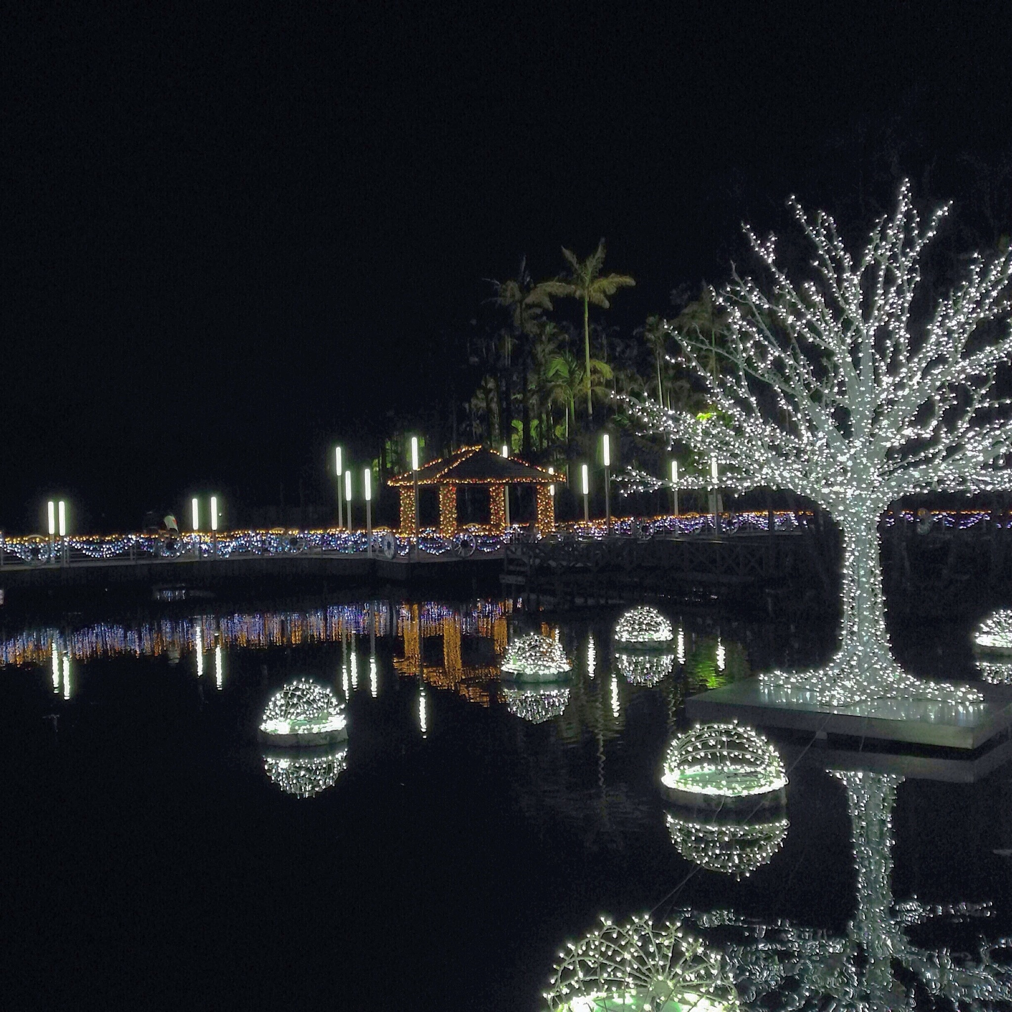 During the holiday season the Southeast Botanical Garden lights up at night. There is a fee of about 2000¥ per person, however is was very beautiful. 