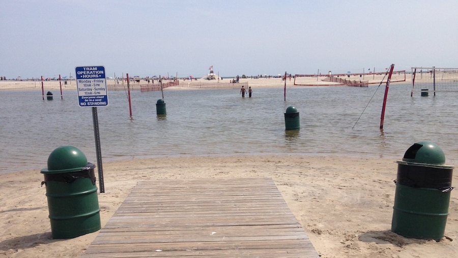 Plage de Cedar Beach