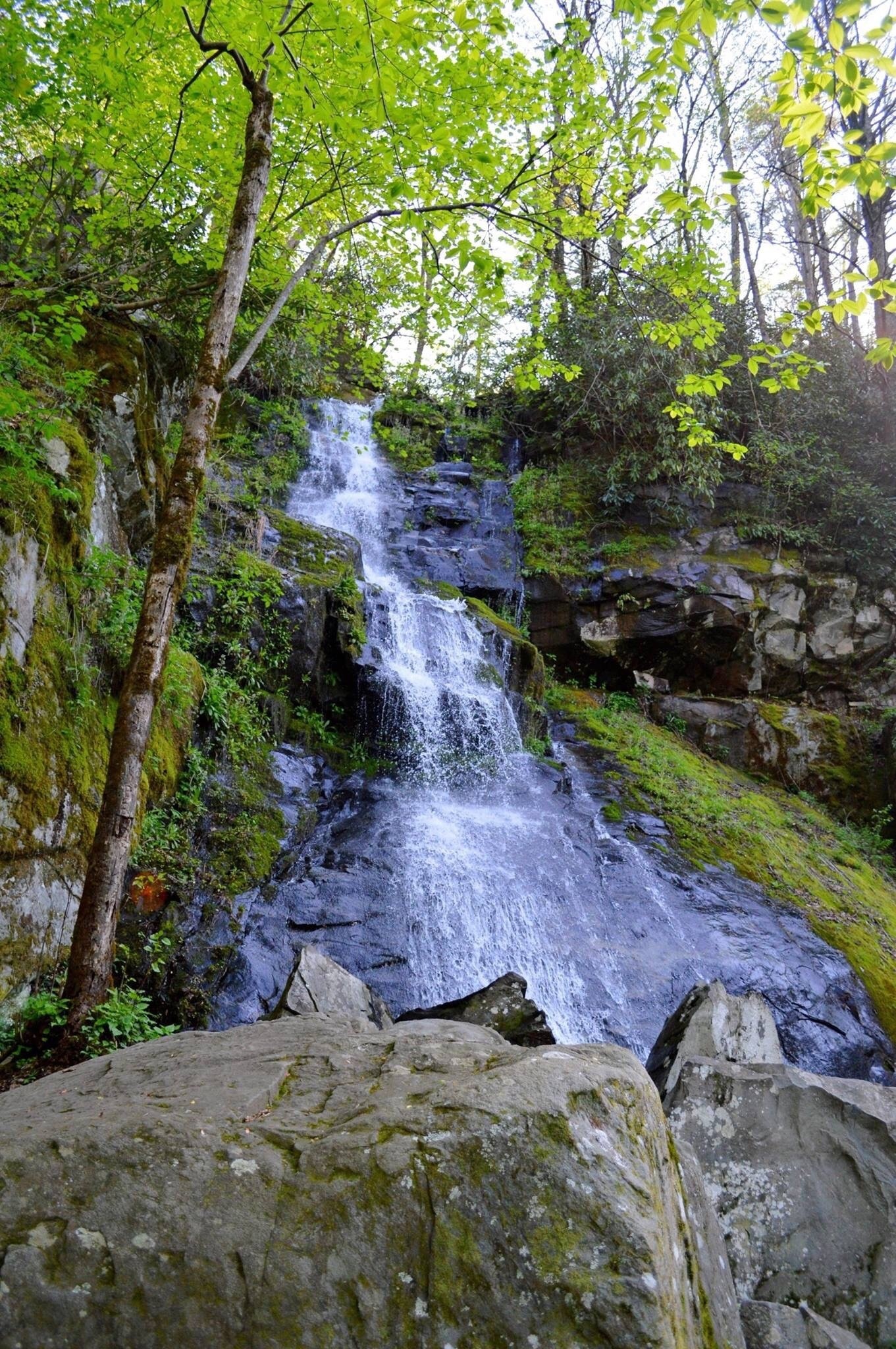 Gorgeous 90 feet waterfall on my backpacking/ hiking/ camping trip to the Great Smoky Mountains National Park. #waterfall #springhiking #nationalparks #outdoor 