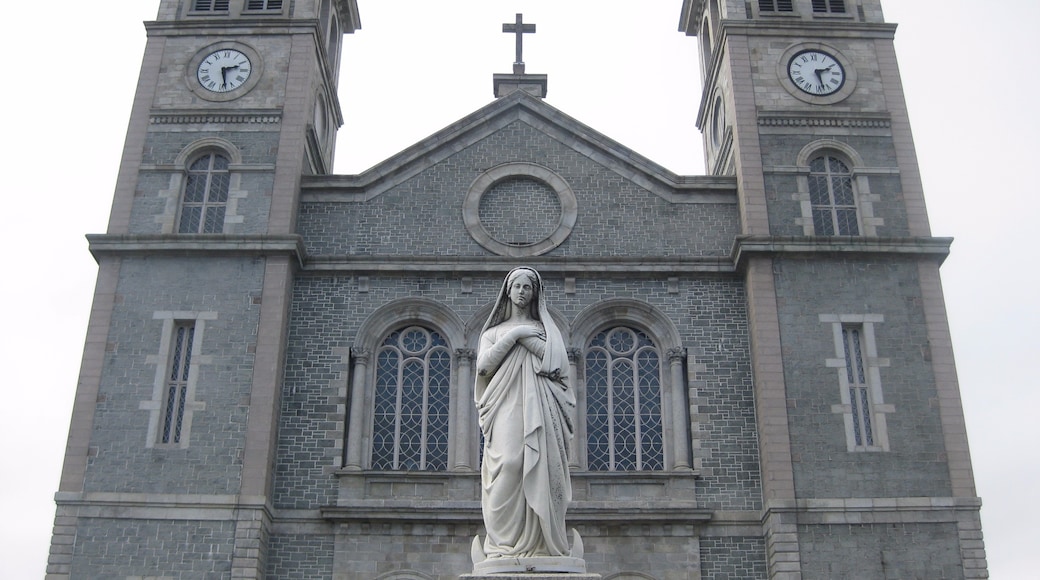 Basilica Cathedral of St. John the Baptist, St. John's, Newfoundland and Labrador, Canada