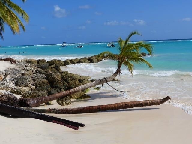 A beautiful island and an amazing beach ... love Barbados 