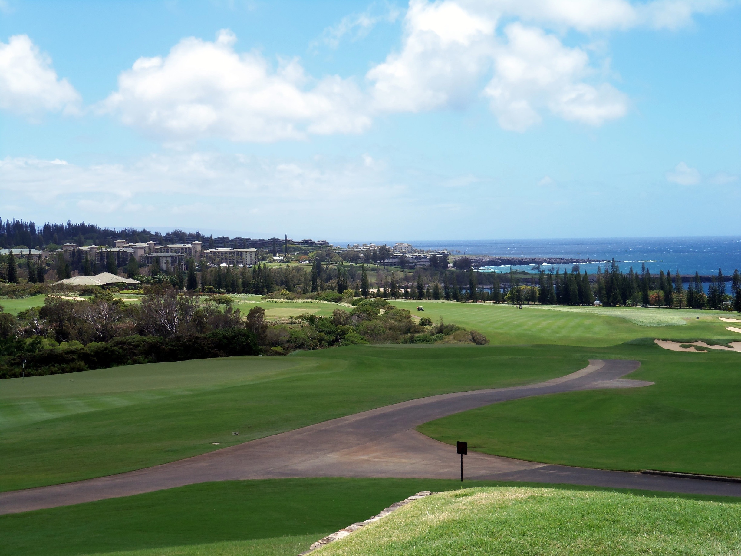 One of Hawaii's highlights are the fabulous golf courses.  I've been lucky to play on several of them on the different islands.  The Plantation Course has incredible views and challenging holes.  It's part of the PGA Tour.  I hope I didn't leave too much divots!