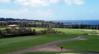 One of Hawaii's highlights are the fabulous golf courses.  I've been lucky to play on several of them on the different islands.  The Plantation Course has incredible views and challenging holes.  It's part of the PGA Tour.  I hope I didn't leave too much divots!
