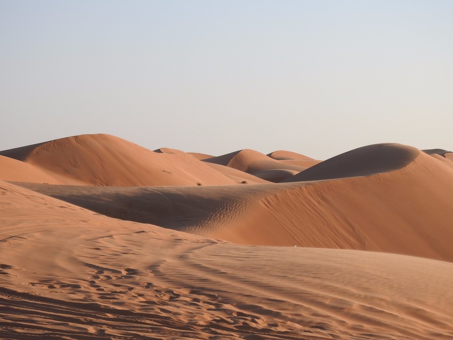 The undulating harmony of wilderness
