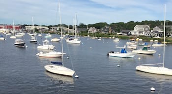 The personal watercraft line the ferry passage to Martha's Vineyard like little toy boats!