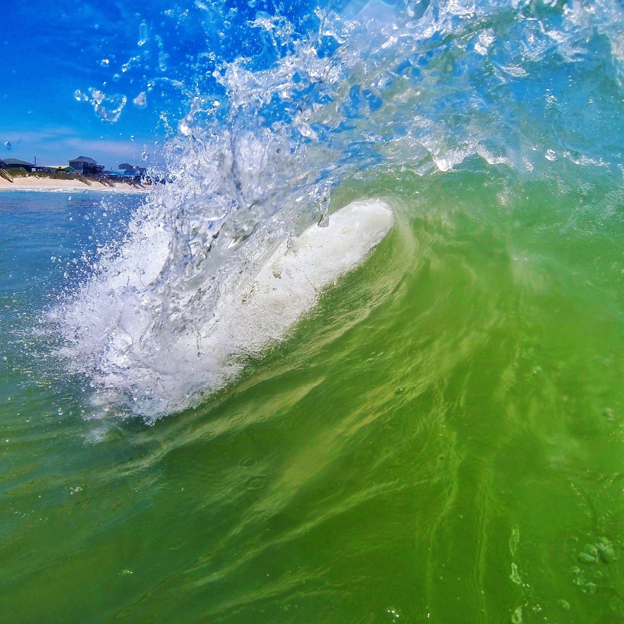 Photo by Michael Schuier