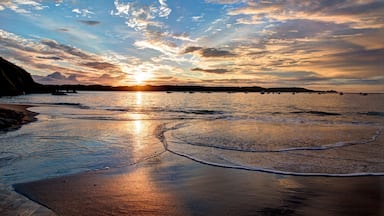 July 2012

The amazing view across the bay at Camping le Châtelet, St Cast
#GoldenHour