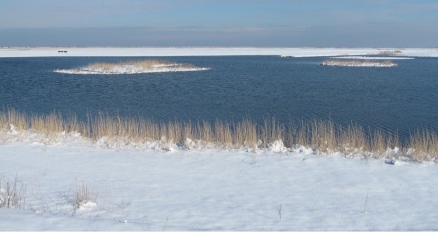 Oostvaardersplassen