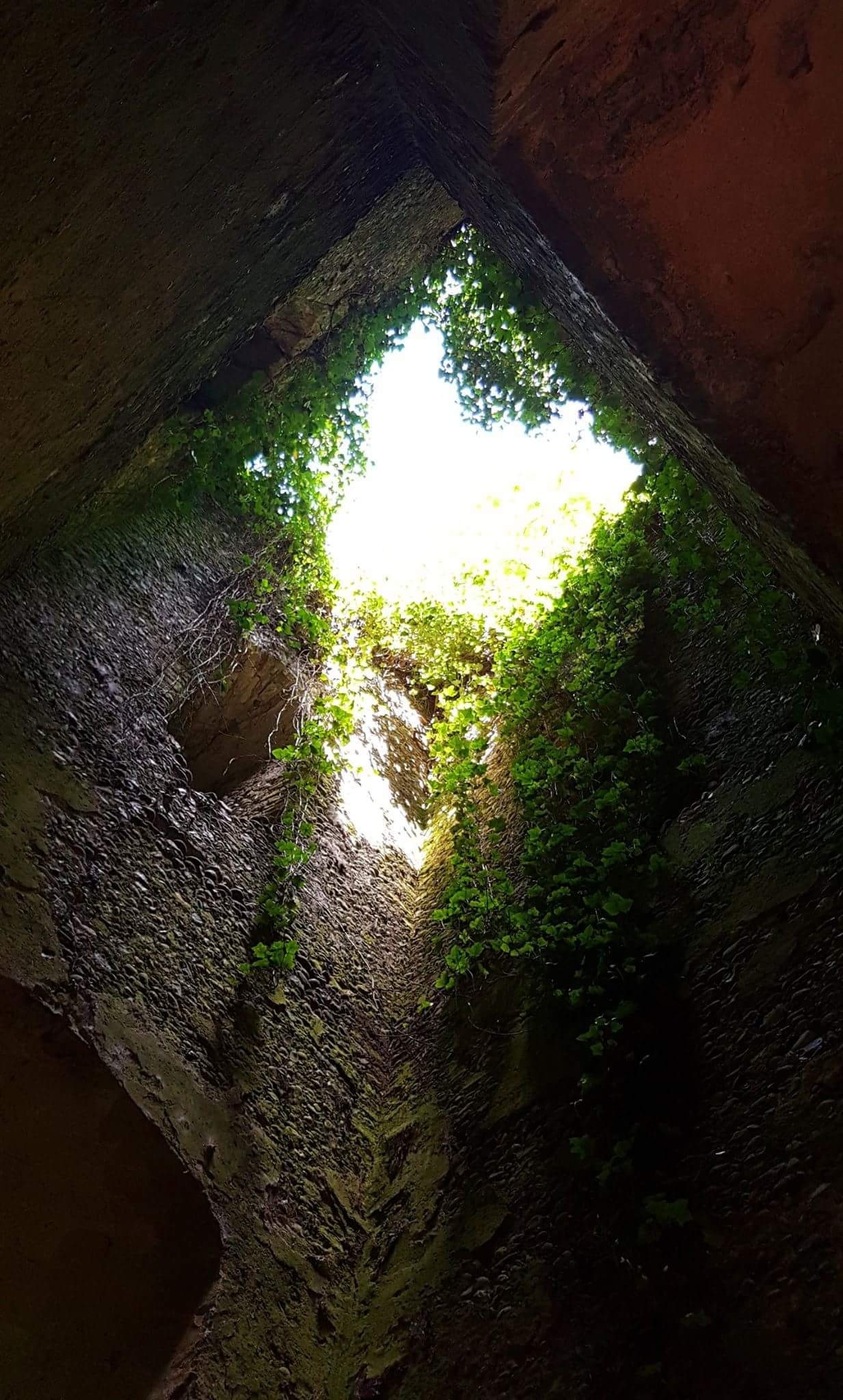 Ảnh của Gemma Bowen