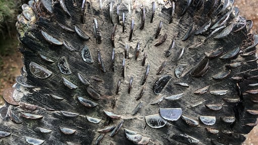 Photo by Adam Redshaw