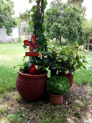 Welcome to our beautiful garden!