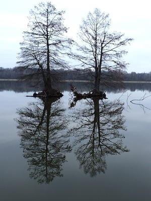 Lake 33 on a cold winter morning.