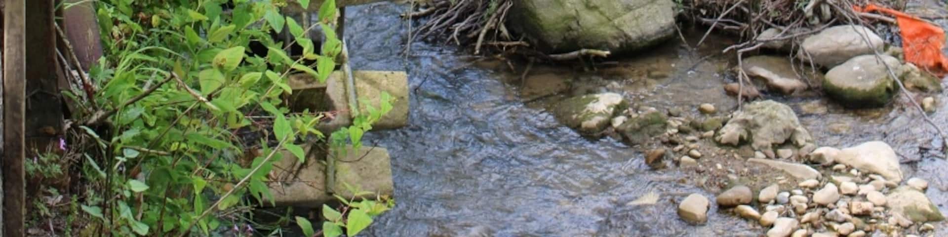 Water song  ( Su çarkı) 
Cumayanı, Karabük, Turkey 
#watersong #cumayanı #karabuk #turkey