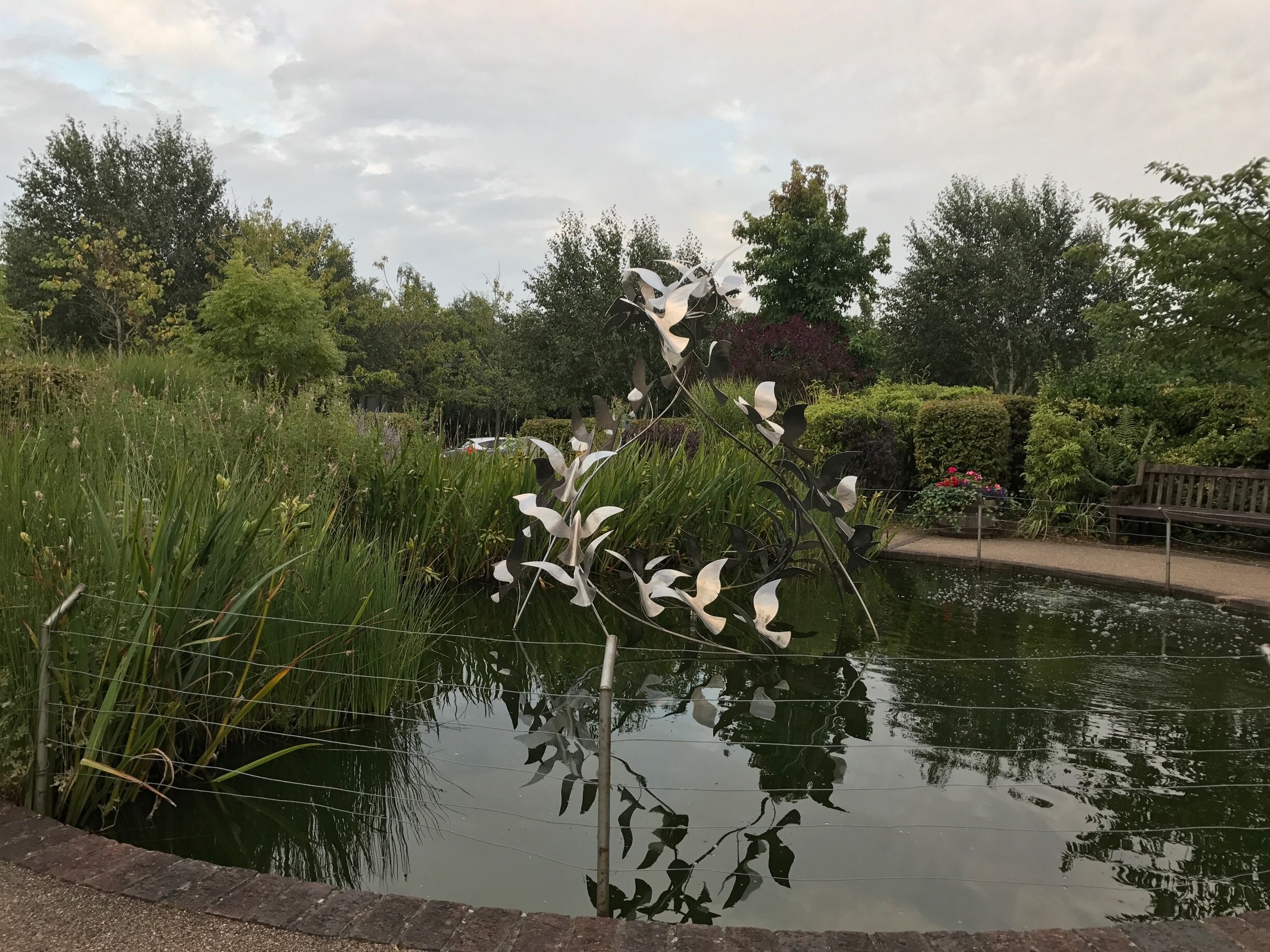 Billede taget af Catherine Larkowsky