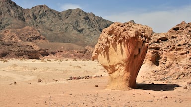 #LifeAtExpediaGroup In the Sinai desert near Dhahab, mushroom rock.