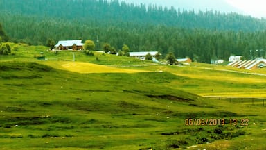 Like a Green Carpet in Gulmarg, Kashmir.
Gulmarg is famous for the Highest Altitude Golf Course in the World and famous Gondola Ride.