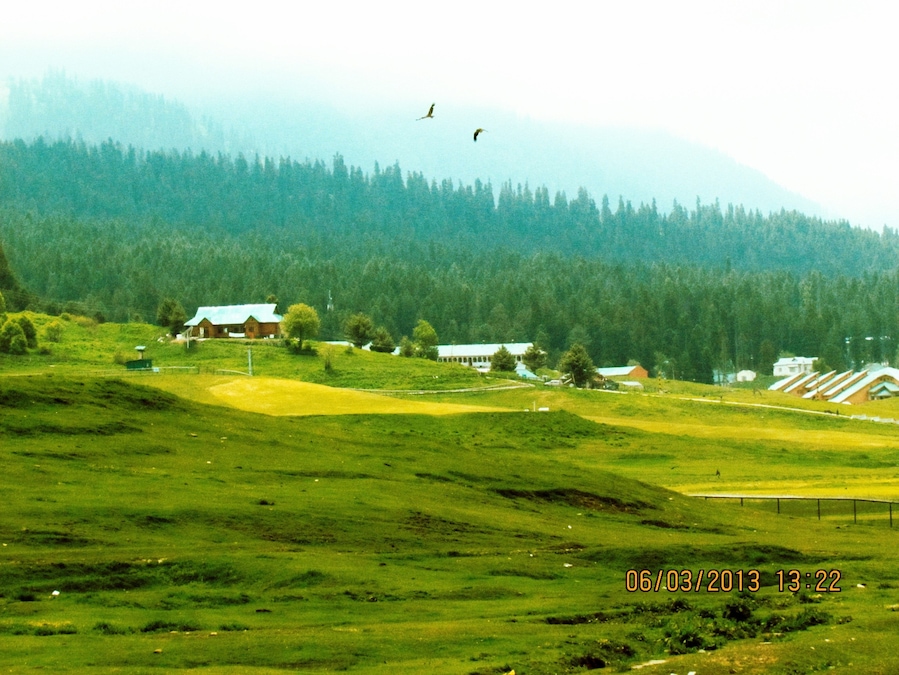 Like a Green Carpet in Gulmarg, Kashmir.
Gulmarg is famous for the Highest Altitude Golf Course in the World and famous Gondola Ride.