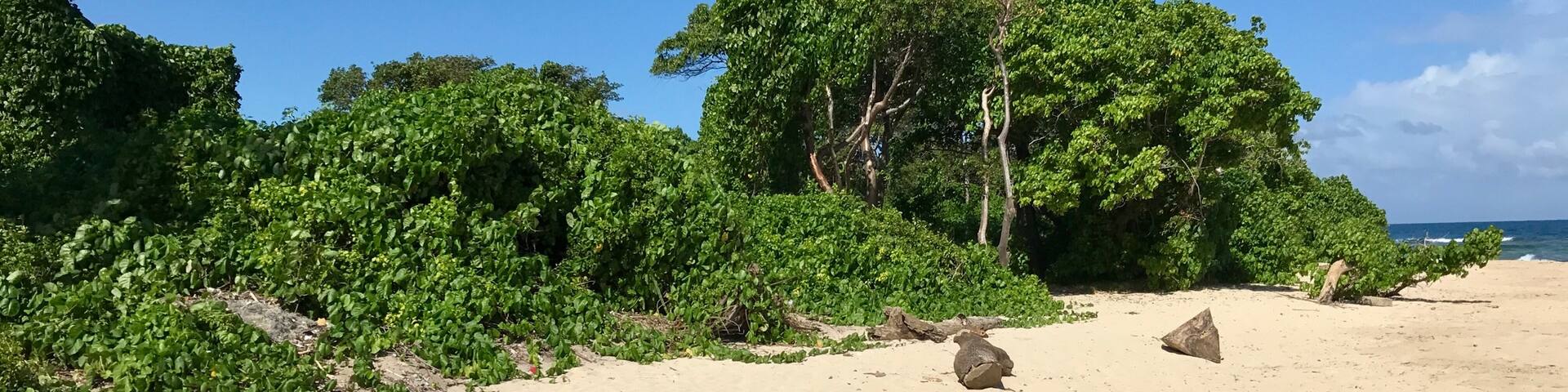 Hanging out a beautiful beach in Haiti..,