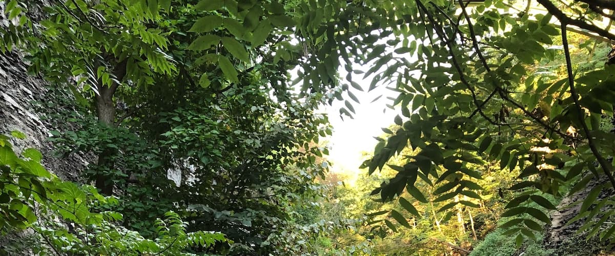 It’s hard to believe that this is Ithaca NY.  It feels like Hawaii