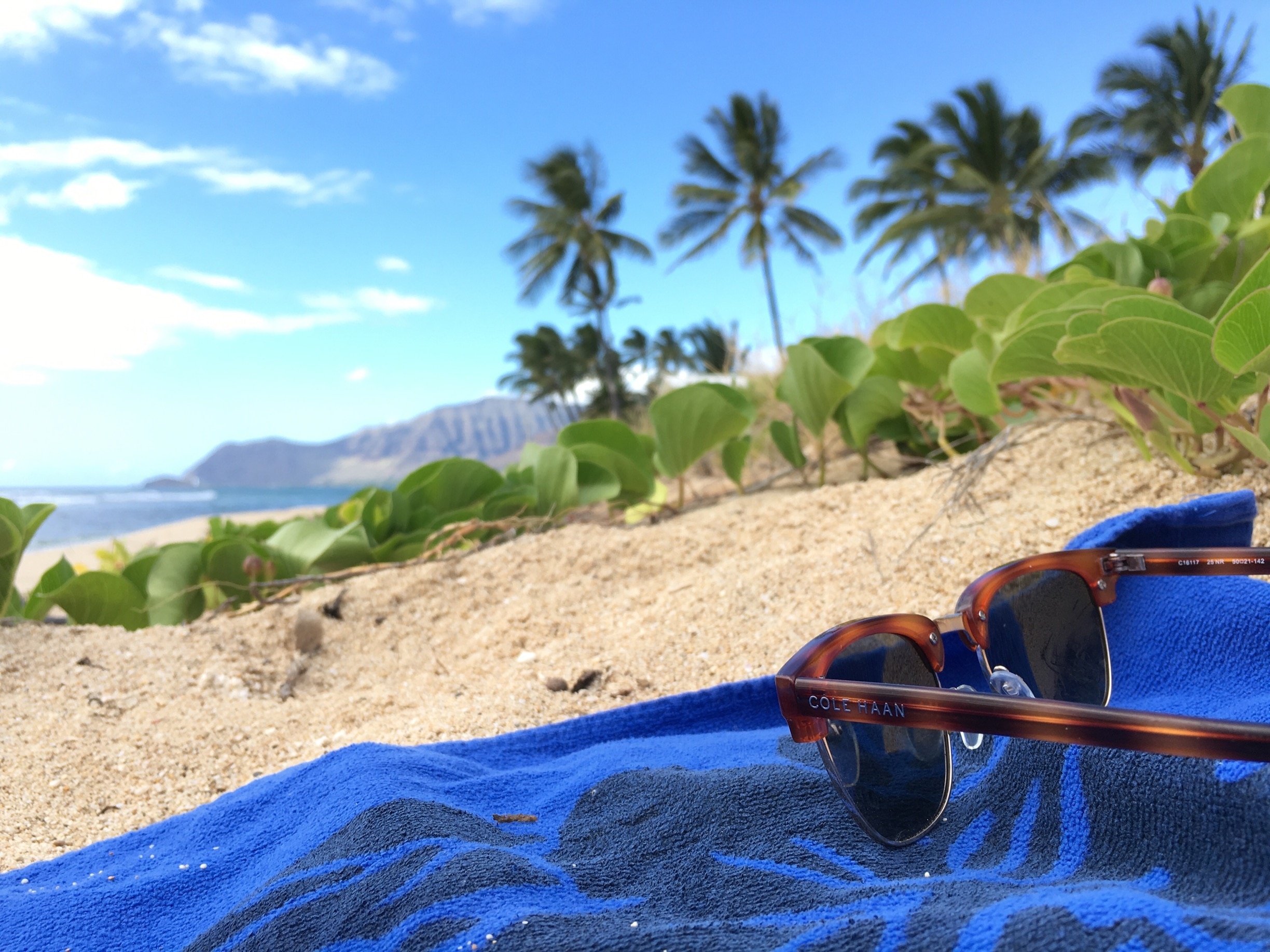 Sand, palms, blue skies and sunglasses are all you need for a good beach day! #LifeatExpedia