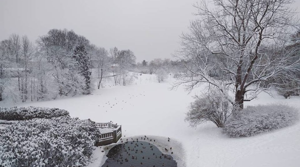 Valokuva: Alex Totaro